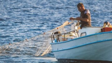 stin-anamoni-oi-alieis-1185993