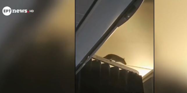 aroyraios-prokalei-tromo-se-ptisi-1271906